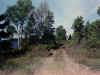 field1.jpg (147979 bytes)