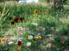 p020804a.jpg (778660 bytes)