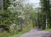 p030529b.jpg (741596 bytes)