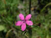 p080809a.jpg (1204105 bytes)