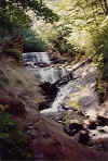 sablefall.jpg (102845 bytes)